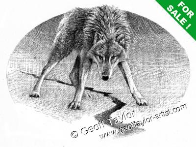 Wolf Bane Wolf Bane