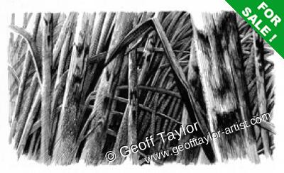 Jack Flint and the Redthorn Sword Jack Flint and the Redthorn Sword