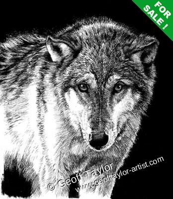 Project X The Lone Wolf Project X The Lone Wolf