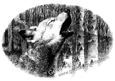 Wolf Brother Wolf Brother