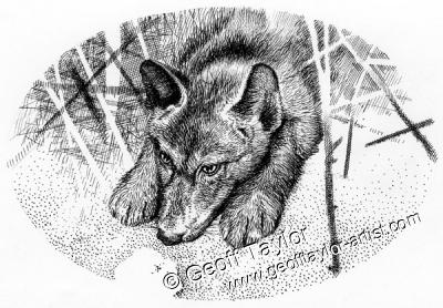 Wolf Brother Wolf Brother