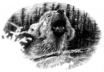 Wolf Brother Wolf Brother