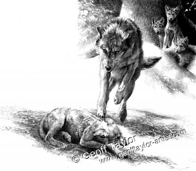 Project X The Lone Wolf Project X The Lone Wolf