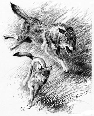 Project X The Lone Wolf Project X The Lone Wolf