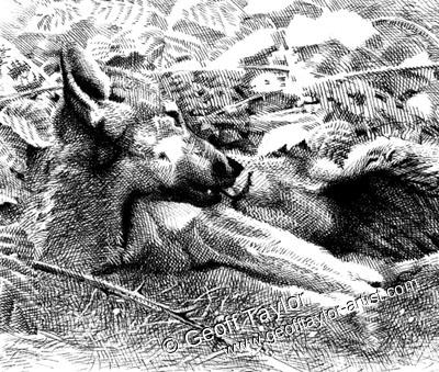 Project X The Lone Wolf Project X The Lone Wolf