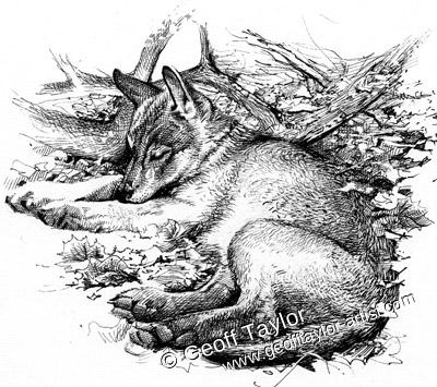 Project X The Lone Wolf Project X The Lone Wolf