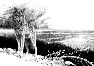 Project X The Lone Wolf Project X The Lone Wolf