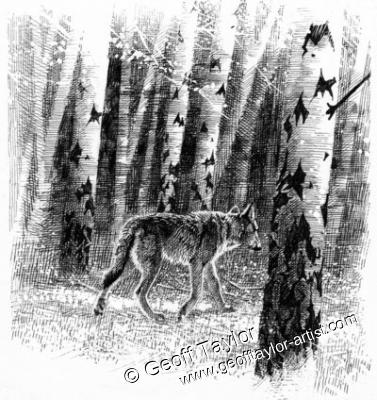 Project X The Lone Wolf Project X The Lone Wolf