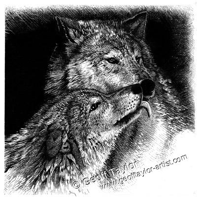 Project X The Lone Wolf Project X The Lone Wolf