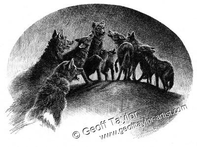 Project X The Lone Wolf Project X The Lone Wolf