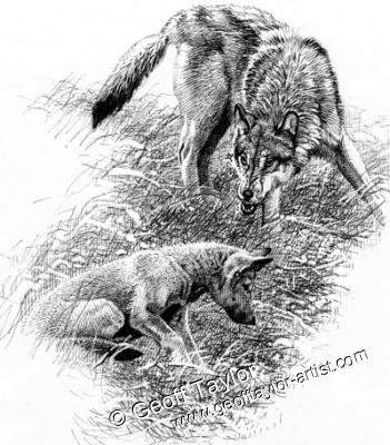 Project X The Lone Wolf Project X The Lone Wolf