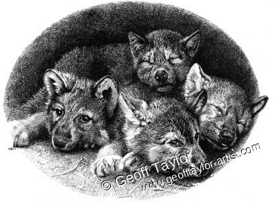 Project X The Lone Wolf Project X The Lone Wolf