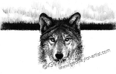 White Fang White Fang