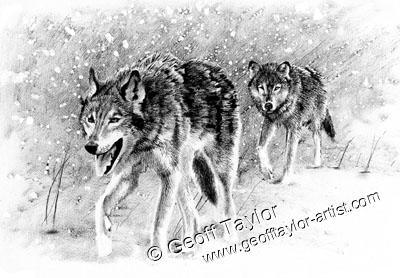 White Fang White Fang