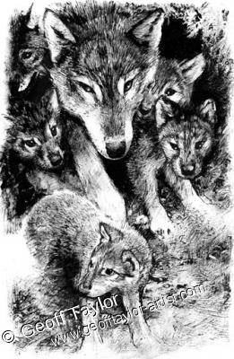 White Fang White Fang