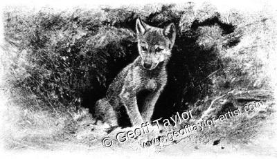 White Fang White Fang
