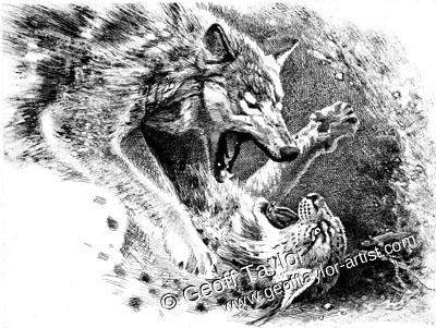 White Fang White Fang