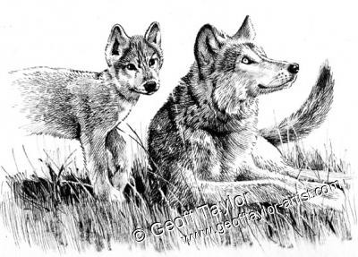 White Fang White Fang