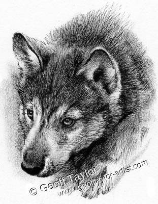 White Fang White Fang