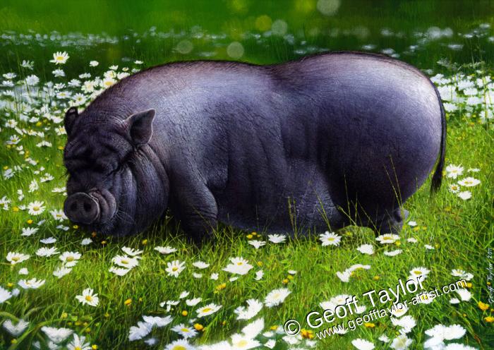 Flower - pot bellied pig
