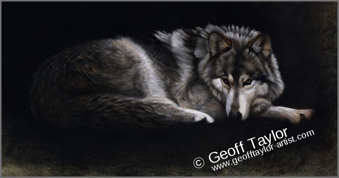 Wolf Resting