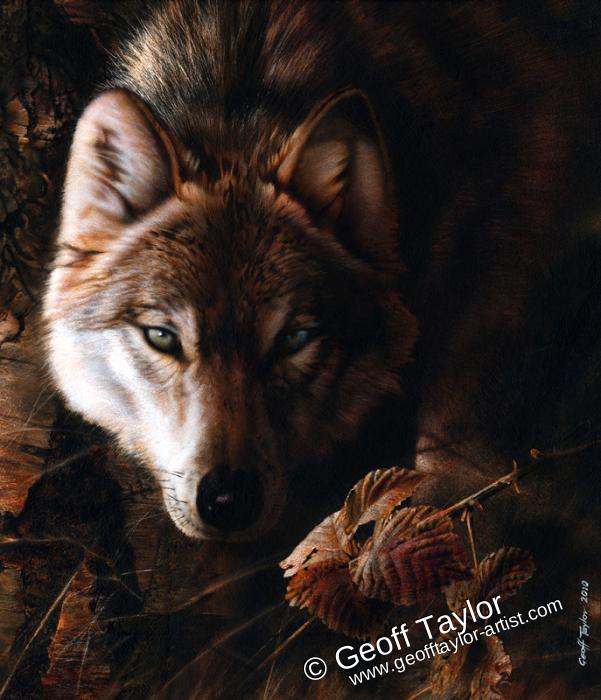 Wolf! (Wolf Portrait)