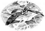 Silver Child chapter 8 - art by Geoff Taylor Silver Child chapter 8 - art by Geoff Taylor