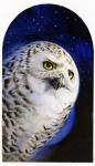The Rivan Codex (Owl) - art by Geoff Taylor The Rivan Codex (Owl) - art by Geoff Taylor