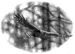 Oath Breaker chapter 29 - art by Geoff Taylor Oath Breaker chapter 29 - art by Geoff Taylor