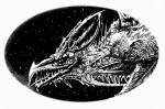 The Rivan Codex (25) - art by Geoff Taylor The Rivan Codex (25) - art by Geoff Taylor