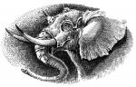 The Rivan Codex (99) - art by Geoff Taylor The Rivan Codex (99) - art by Geoff Taylor