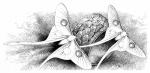 Sun Catcher chapter 10 - art by Geoff Taylor Sun Catcher chapter 10 - art by Geoff Taylor