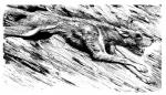 Sun Catcher chapter 21 - art by Geoff Taylor Sun Catcher chapter 21 - art by Geoff Taylor