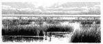 Sun Catcher chapter 22 - art by Geoff Taylor Sun Catcher chapter 22 - art by Geoff Taylor