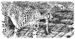 Sun Catcher chapter 29 - art by Geoff Taylor Sun Catcher chapter 29 - art by Geoff Taylor