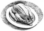 The Silver Child Chapter 1 The Feast - art by Geoff Taylor The Silver Child Chapter 1 The Feast - art by Geoff Taylor