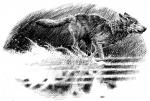 Spirit Walker chapter 13 - art by Geoff Taylor Spirit Walker chapter 13 - art by Geoff Taylor
