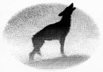 Wolf in Mist Howling - art by Geoff Taylor