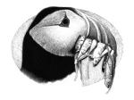 chapter 12 - art by Geoff Taylor chapter 12 - art by Geoff Taylor