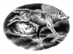 chapter 29 - art by Geoff Taylor chapter 29 - art by Geoff Taylor