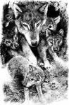 White Fang page 14 - art by Geoff Taylor White Fang page 14 - art by Geoff Taylor