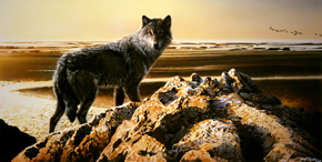 The Last Wolf