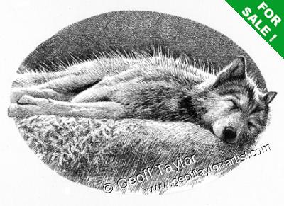 Wolf Bane Wolf Bane