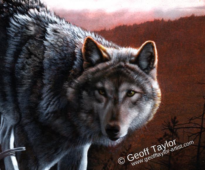 White Fang White Fang