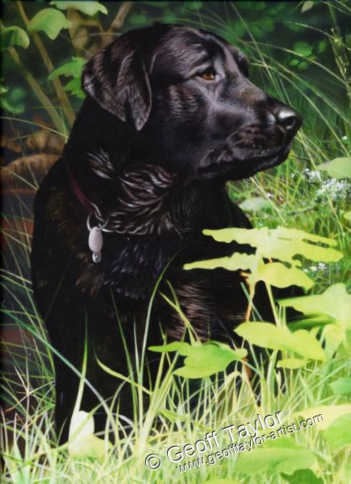 Roscoe Roscoe