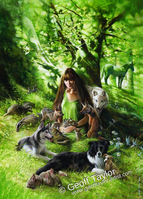 Woodland Fantasy Woodland Fantasy