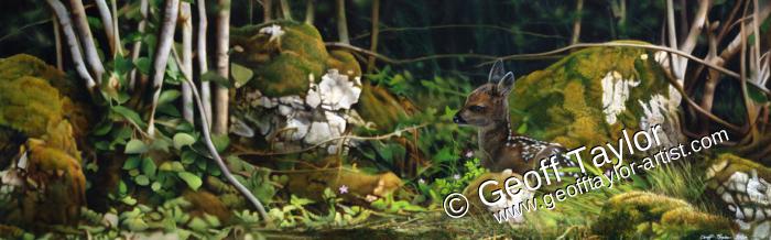 Roe Deer Kid Roe Deer Kid