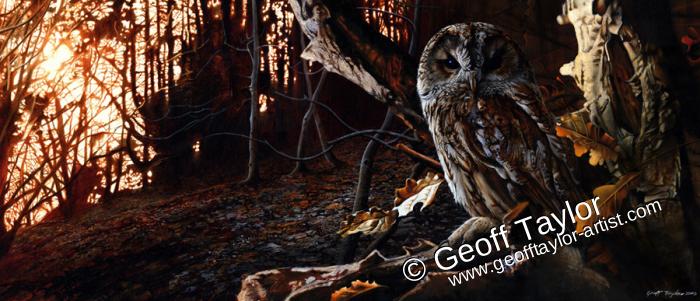 Nightwatch Nightwatch