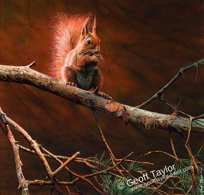 Little Guzzler - Red Squirrel Little Guzzler - Red Squirrel