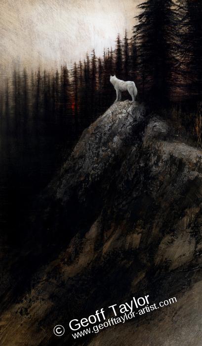 White Wolf Looking Out White Wolf Looking Out